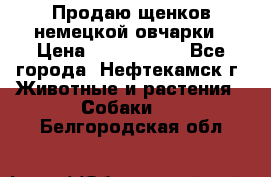 Продаю щенков немецкой овчарки › Цена ­ 5000-6000 - Все города, Нефтекамск г. Животные и растения » Собаки   . Белгородская обл.